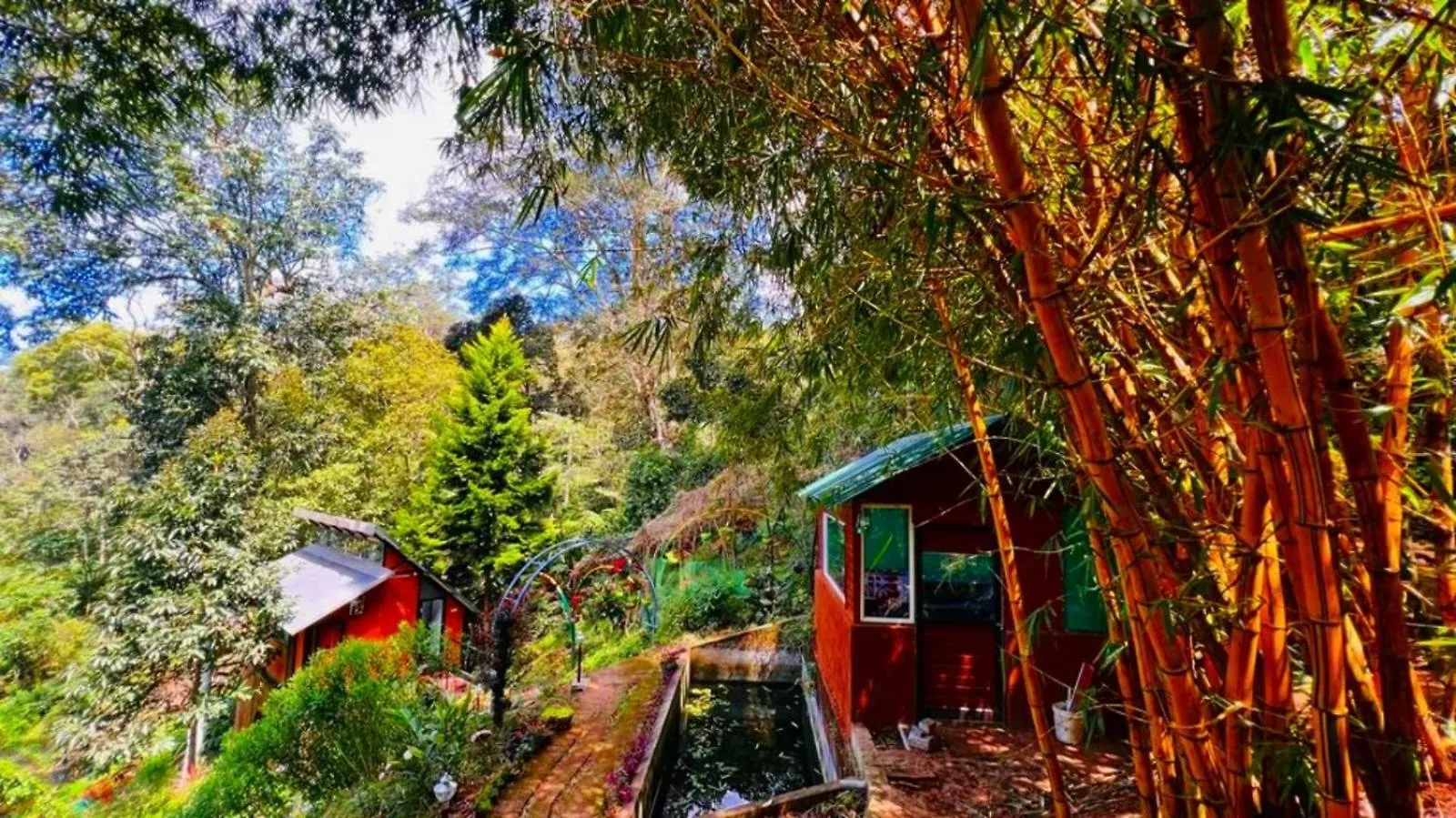 Bamboo Dale Resort, Munnar