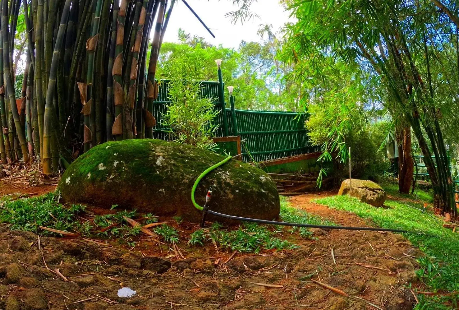 Bamboo Dale Resort, Munnar