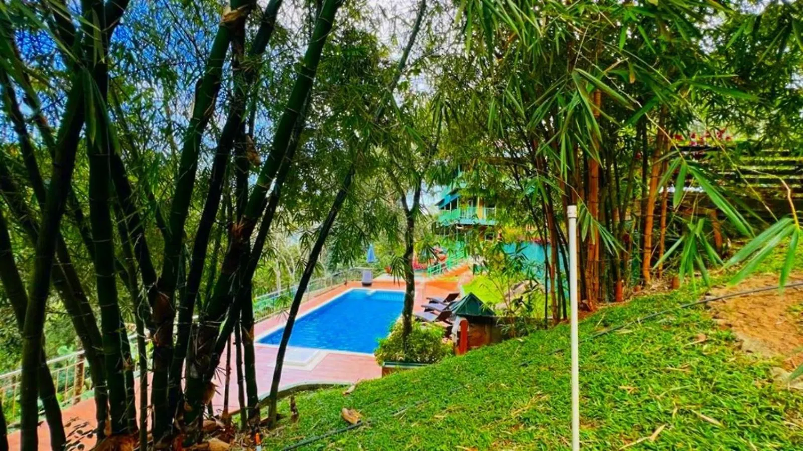 Bamboo Dale Resort, Munnar Resort