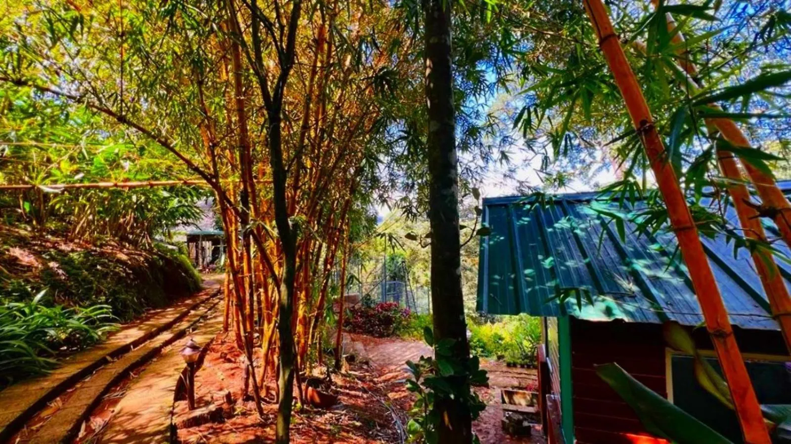 Bamboo Dale Resort, Munnar India