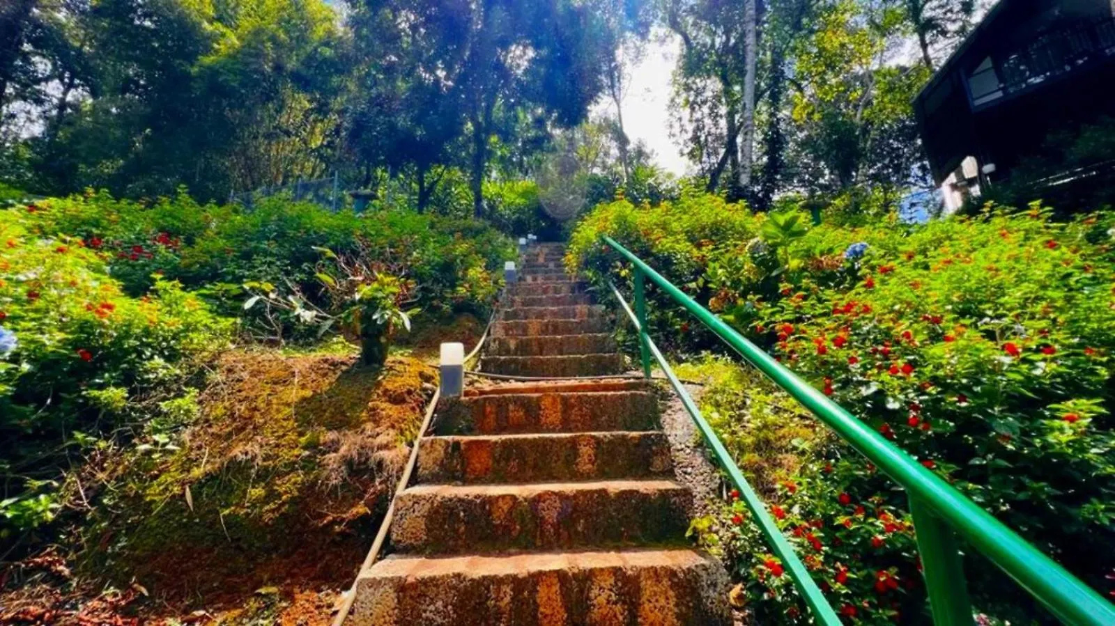Bamboo Dale Resort, Munnar Resort