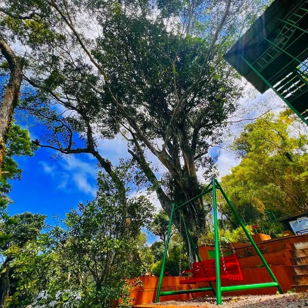 Bamboo Dale Resort, Munnar Resort