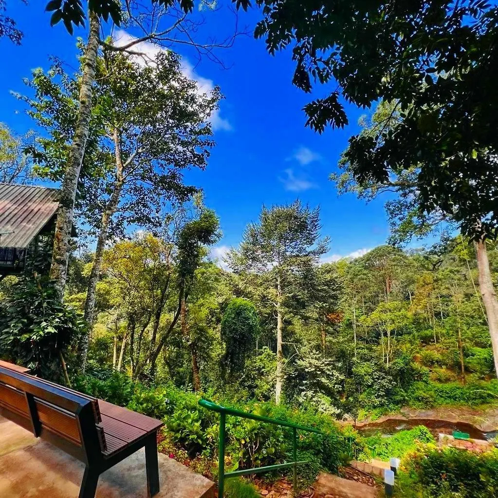 Bamboo Dale Resort, Munnar 2*,