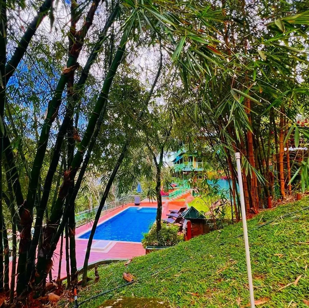 Bamboo Dale Resort, Munnar Resort