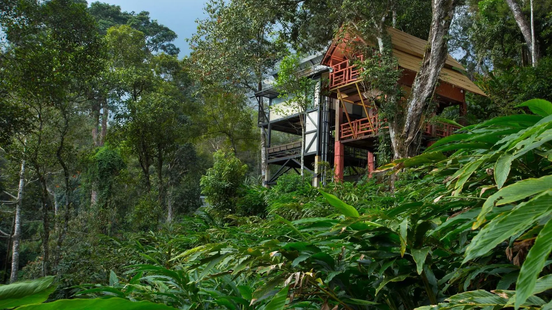 Bamboo Dale Resort, Munnar Resort